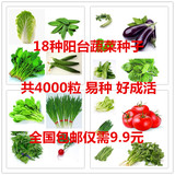 天天特价 18种蔬菜种子套餐组合四季可播阳台庭院鸡毛菜香菜黄瓜