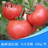 西红柿番茄 新鲜当天采摘  北京有机蔬菜配送 自然熟