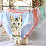 英国3D猫图案三角裤 个性猫咪女士内裤全棉 喵星人小猫内裤女C088