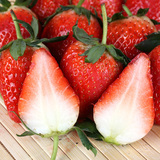 冬季大棚威海新鲜草莓水果包邮顺丰包邮红霞草莓奶油草莓6UUbFf6A