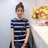 2016韩版学院风条纹针织衫短款半袖上衣修身短袖针织打底衫女夏装