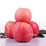 山西吉县壶口红富士苹果 平均直径85mm. 净重4.5千克 一箱16个