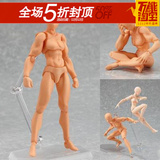 新款figma男女性款 He she关节可动素体手办人偶写生美术绘画模型