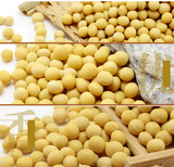 新有机大小土黄豆非转基因250打磨豆浆生发豆芽东北农家自种包邮