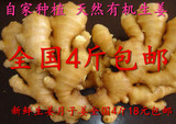 农家自种生姜老姜大姜月子姜黄姜原始点新鲜有机蔬菜批发4斤包邮