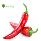 有机新鲜蔬菜 新鲜红辣椒红尖椒朝天椒小尖椒 超级辣椒500g