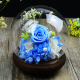 蓝色永生花玻璃罩 玫瑰保鲜花干花 情人节送爱人女友创意礼品定制