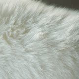 垫皮毛一体防滑飘窗垫可定制AUSKIN澳洲羊毛椅垫坐垫整张羊皮沙发