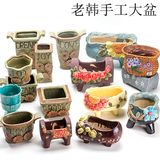 多肉绿植物中国风日式陶瓷特大水仙个性简约紫砂牡丹小榕树花盆