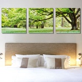 客厅装饰画卧室壁画绿色大树床头挂画无框画大自然风景画简约三联