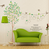 客厅卧室橱窗相片树相框贴画 照片树可移除墙纸 大号纪念树墙贴纸