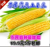现摘新鲜水果玉米甜玉米棒重庆农家自种水果玉米非转基因5斤包邮