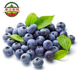 进口智利蓝莓新鲜野生蓝莓 蓝靛果 纯天然蓝莓鲜果2盒限北京