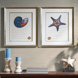 Harbor同款海星海螺装饰画艺术墙画现代美式风格装饰画油画素材