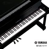 YAMAHA雅马哈钢琴YZ119全新中高端系列专业立式钢琴正品湖北总代