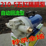 自动回流12V24V48V60V高压打药机农用电动喷雾器灌溉5缸隔膜泵