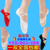 白色舞蹈鞋 软底舞鞋 练功鞋猫爪鞋瑜珈男舞鞋女儿童芭蕾舞鞋