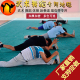 武术地毯瑜伽运动健身房舞蹈教室体操地毯散打训练比赛专用毯定制