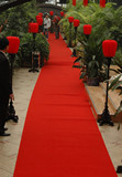 地毯婚庆地毯/一次性红地毯/展会展览地毯/墙毯舞台地毯