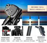 三脚架单反相机便携支架佳能100D 700D 750D 760D摄影三角架1.7米