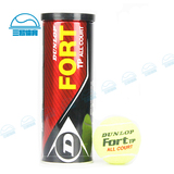 正品 Dunlop Fort TP 网球比赛球铁罐3粒装中网协指定用球 601203