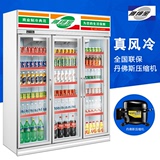 雅绅宝 SA16L3F饮料柜 饮料冷藏展示柜三门商用立式冷饮柜 保鲜柜