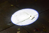 远射聚光便携迷你LED强光手电筒户外手灯随身小手电防水医用不锈