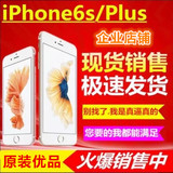 二手热销/Apple/苹果iPhone6sPlus/6S 保修一年 国港行美版三网4G