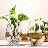 恐龙蛋花瓶 透明玻璃花瓶 实用 简约 水培花卉植物玻璃器皿