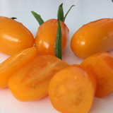【蒙绿娃】内蒙古有机蔬菜小番茄新鲜水果西红柿2.6斤/份预售