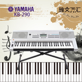 顺丰YAMAHA雅马哈KB-290 61键成人儿童电子琴KB280升级款专业考级