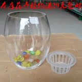 鹅蛋水培玻璃花瓶/外贸透明，宜家风格小水培器皿花器/水培瓶