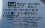 WD/西部数据 WD5000AVDS AV-GP西数500G监控专用台式机硬盘