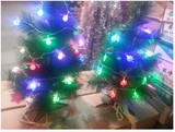 松针圣诞树60cm 配圣诞彩灯 【星星彩灯，花彩灯】包邮价 超值价