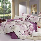 苏娜国际全棉四件套床单被套韩版床品纯棉4件套床上用品1.5 1.8m
