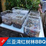 三亚湾红树林酒店海鲜BBQ自助餐预订 美食团购 特价海鲜自助烧烤