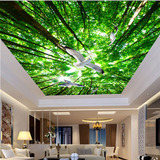 绿色森林大树天空鸽子3D吊顶天顶壁画酒店大厅天花壁纸餐厅壁画