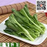新鲜蔬菜菜心 菜尖 广东菜心脆嫩可口 绿色有机蔬菜  同城配送