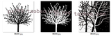 黑白树三联画无框画素材图冰晶画高清图现代装饰图欧式风格