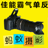 清仓特价单反数码相机Canon/佳能 EOS 100D套机胜600D媲700D 750D