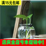 7295 水培花瓶 南瓜玻璃花瓶 小吊瓶插花玻璃花瓶 配送铁环
