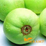 日本甜宝香瓜 菜园易种水果蔬菜种子 甜瓜种子 超甜香瓜老品种