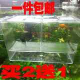鱼苗繁殖孵化器 透明亚克力双层自浮孵化盒 隔离箱斗鱼  大号