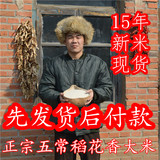 15年东北新米黑龙江五常稻花香大米农家直销非转基因贡米5kg包邮