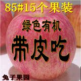 [兔子果园】山东栖霞红富士烟台苹果新鲜水果超牛顿阿克苏冰糖心
