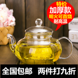 红垒加厚耐热玻璃茶壶茶具花茶壶花草茶壶普洱功夫红茶壶过滤玻璃