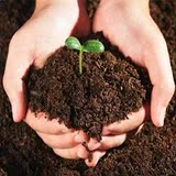 盆栽肥料花卉植物有机营养土 养花土 种菜营养土大包 花泥营养土