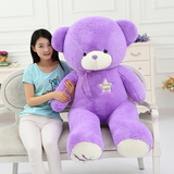 薰衣草小熊澳洲紫色泰迪熊公仔毛绒玩具抱抱熊布娃娃儿童生日礼物