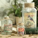 碧轩 美式乡村田园创意麻绳精致透明玻璃花瓶人工吹制时尚