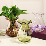 简约欧式透明彩色玻璃花瓶客厅水培绿萝客厅摆件插花器加厚装饰品